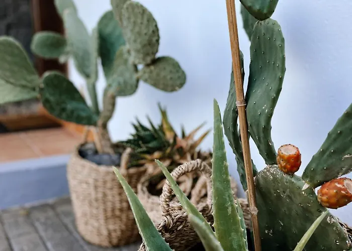 Casa Milena فيلة *